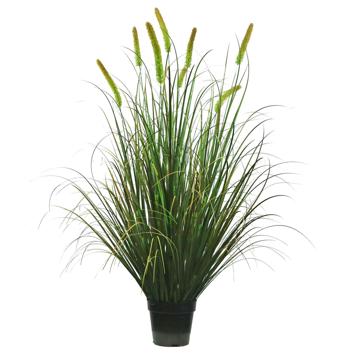$1000+ Purchase Gift | Artificial 8-Head Long Cat Tail with Curved Onion Grass Bonsai 55"H