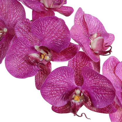Phalaenopsis Orchid x2 in Mirror Vase