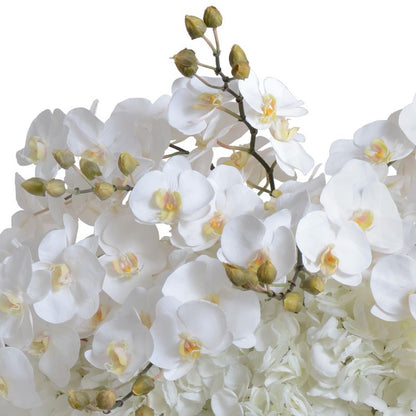 Orchid & Hydrangea Arrangement