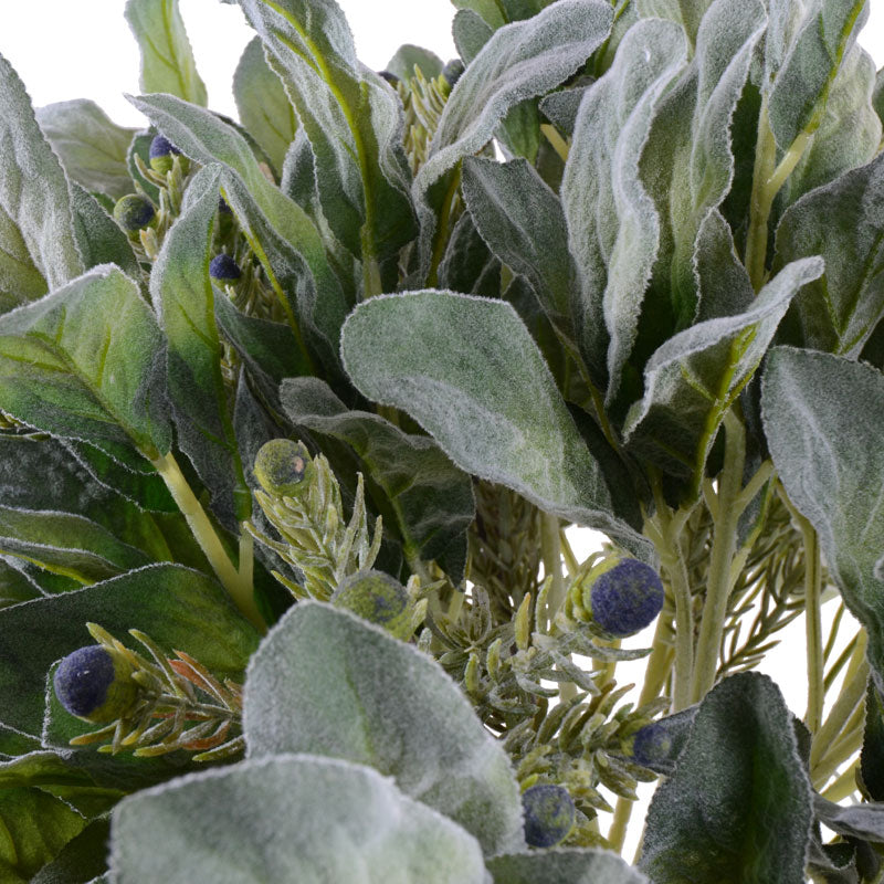 Lamb's Ear, Protea & Euphorbia in Glass
