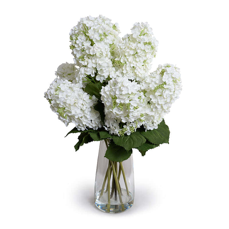 Hydrangea Snowflake in Glass