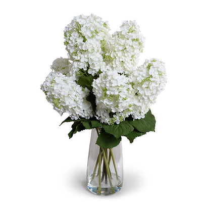 Hydrangea Snowflake in Glass