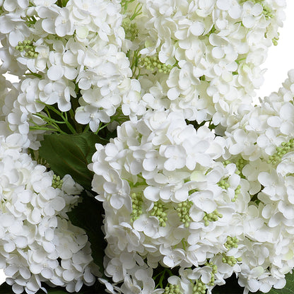 Hydrangea Snowflake in Glass