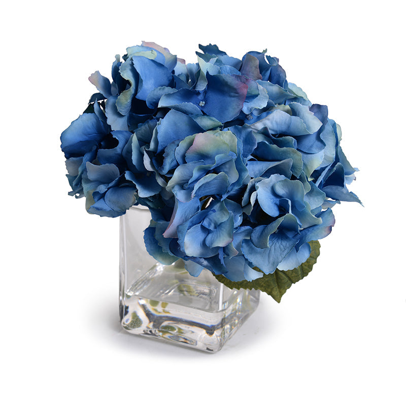 Hydrangea Cutting
