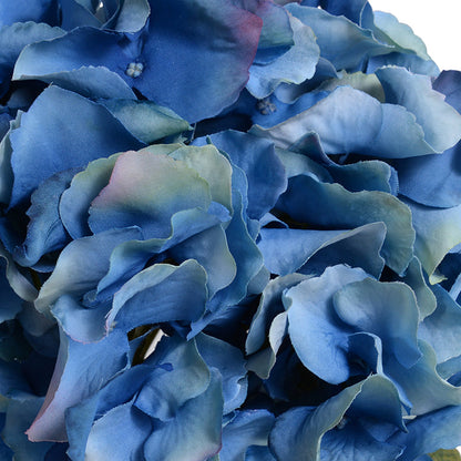 Hydrangea Cutting