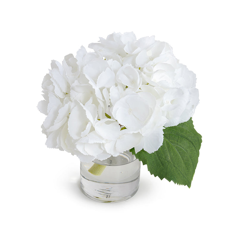 Hydrangea Cutting