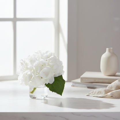Hydrangea Cutting