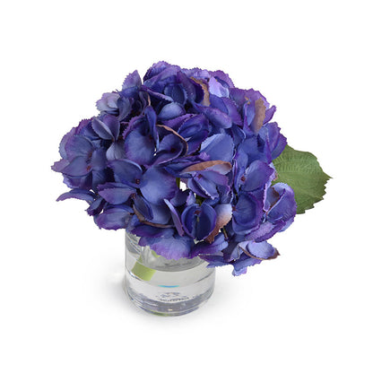 Hydrangea Cutting