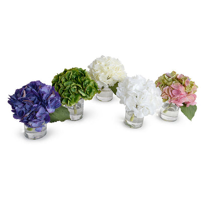 Hydrangea Cutting