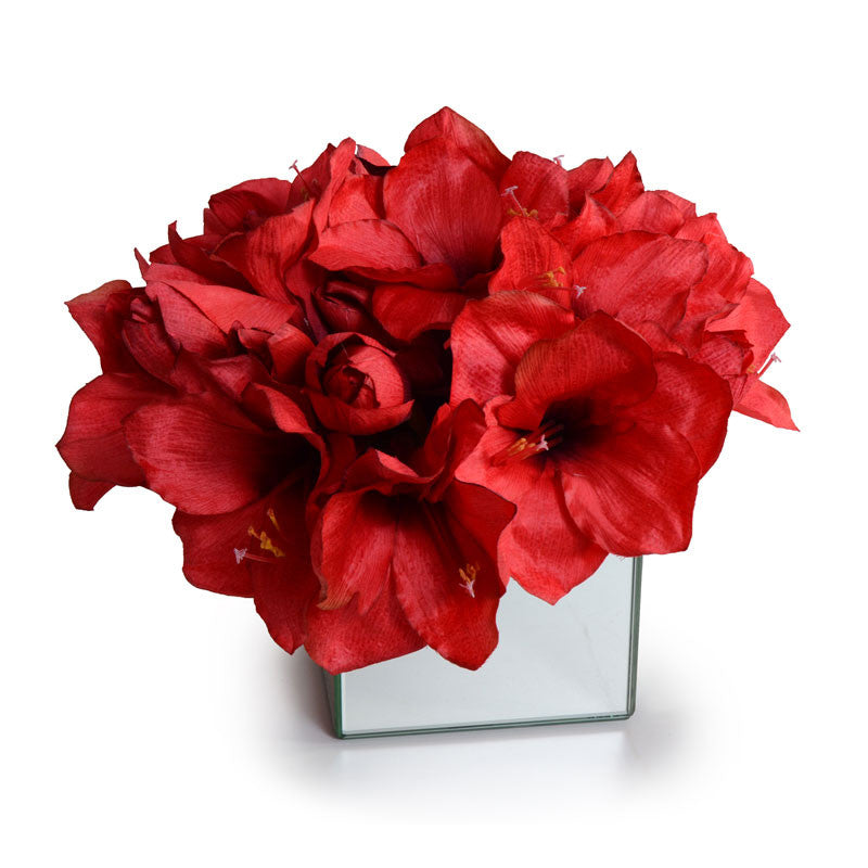 Amaryllis in Mirror Vase
