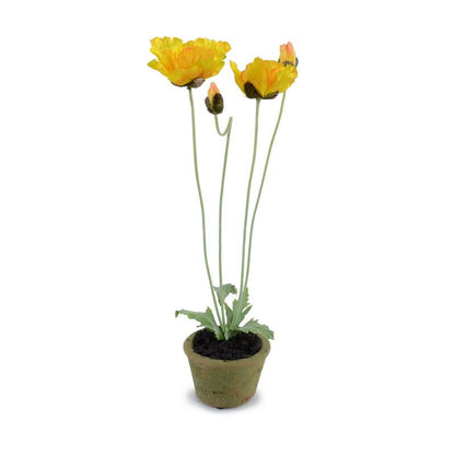 Poppy in Terracotta