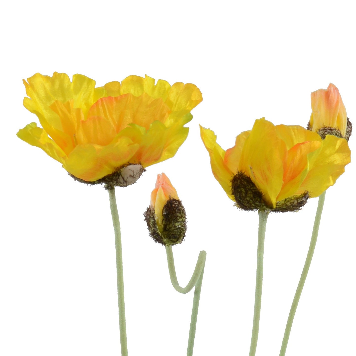Poppy in Terracotta
