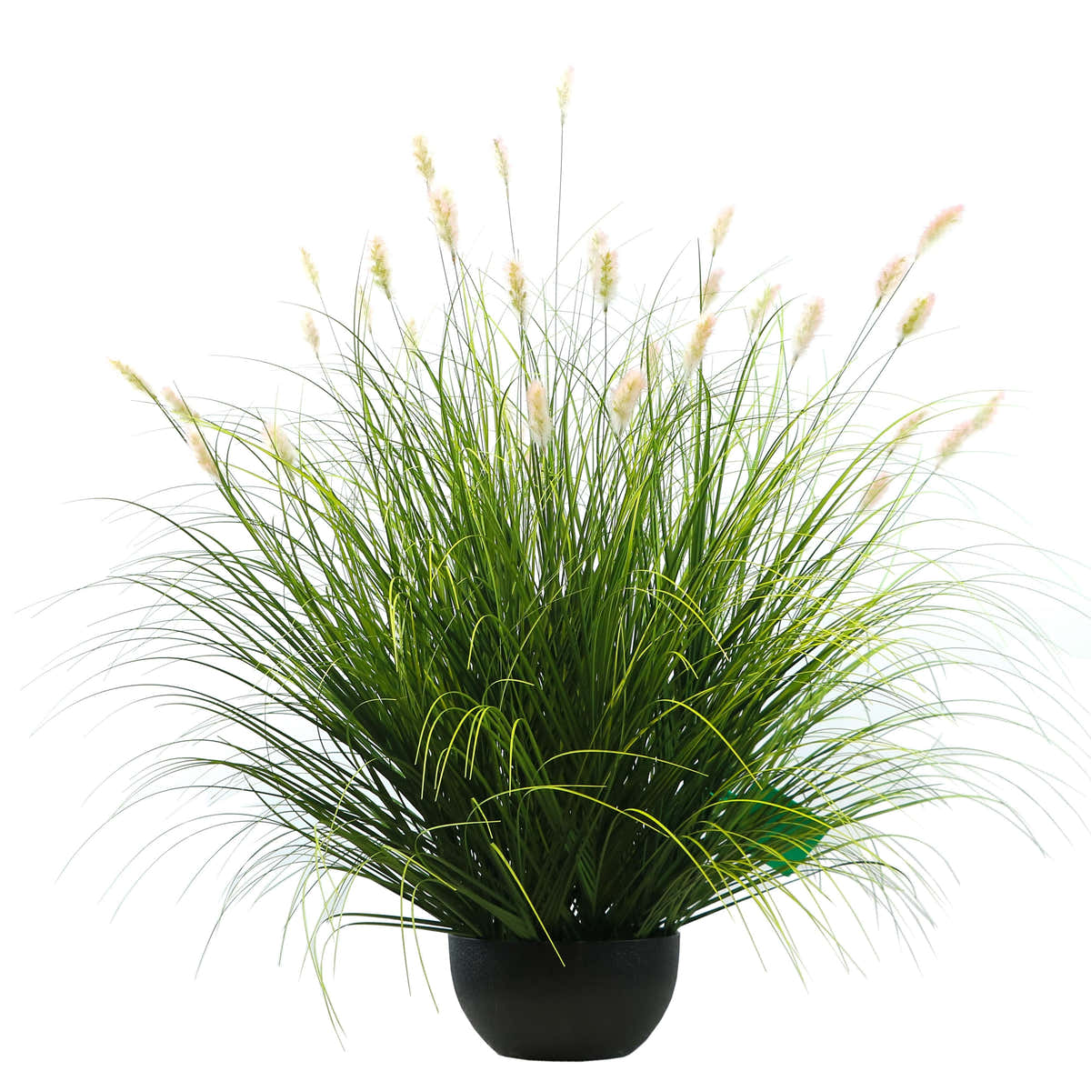 $1000+ Purchase Gift | Artificial 36-Head Caterpillar with Curved-Straight Onion Grass Bonsai 43"H
