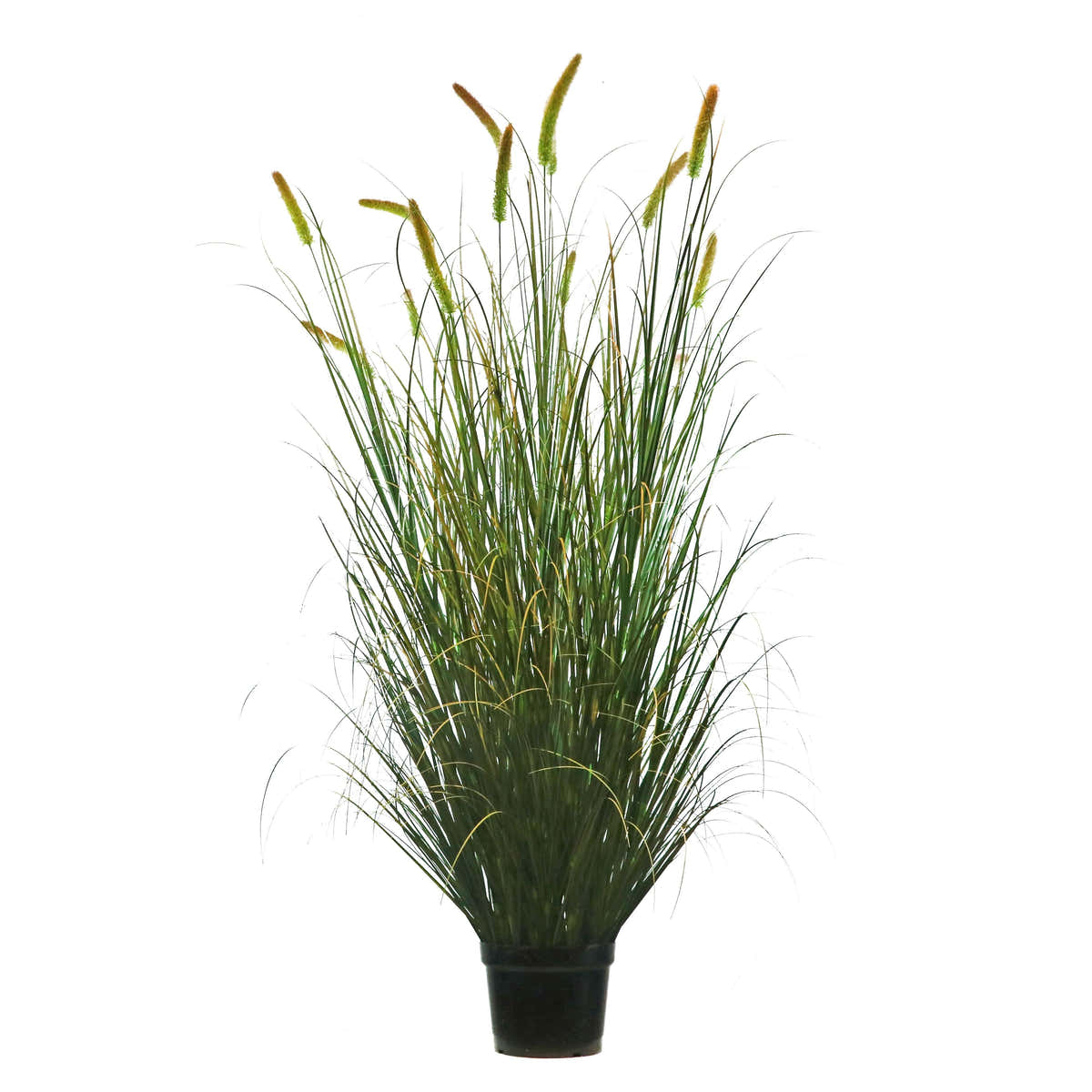 $2500+ Purchase Gift | Artificial 14-Head Long Cat Tail with Curved Onion Grass Bonsai 79"H