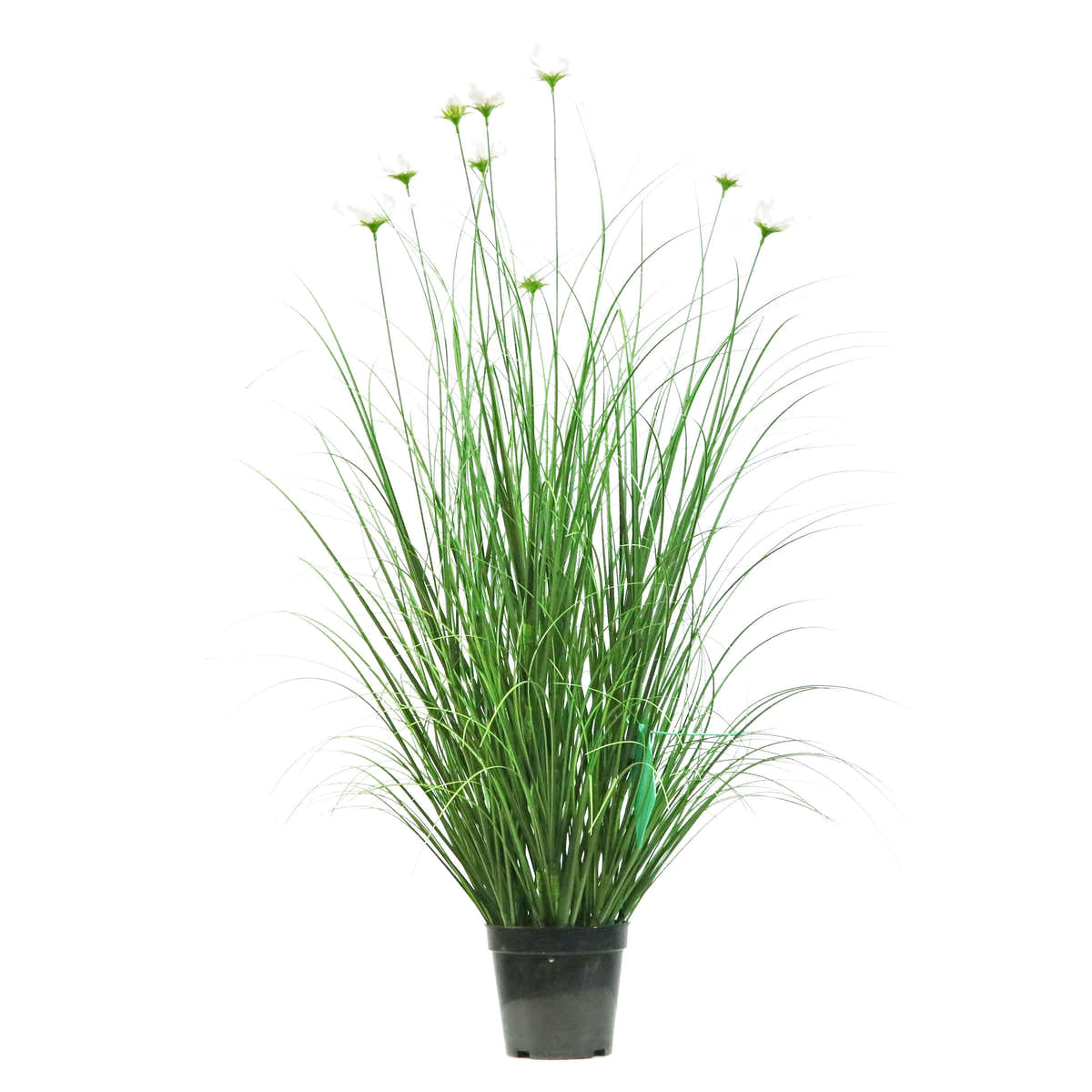 $1000+ Purchase Gift | Artificial 9-Head Cosmos with Curved Onion Grass Bonsai 43"H