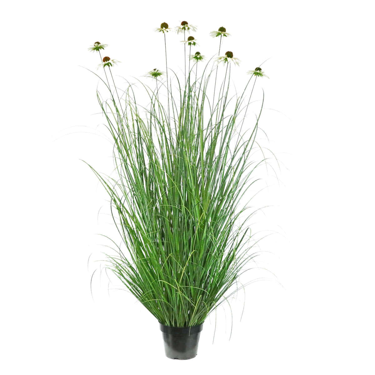 $1000+ Purchase Gift | Artificial 10-Head Chrysanthemum with Curved Onion Grass Bonsai 67"H