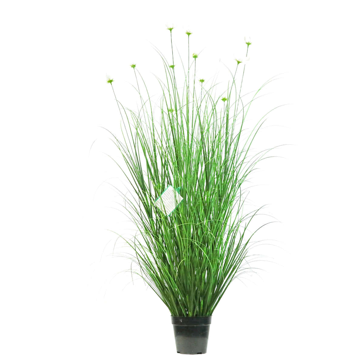 $1000+ Purchase Gift | Artificial 15-Head Cosmos with Curved Onion Grass Bonsai 67"H