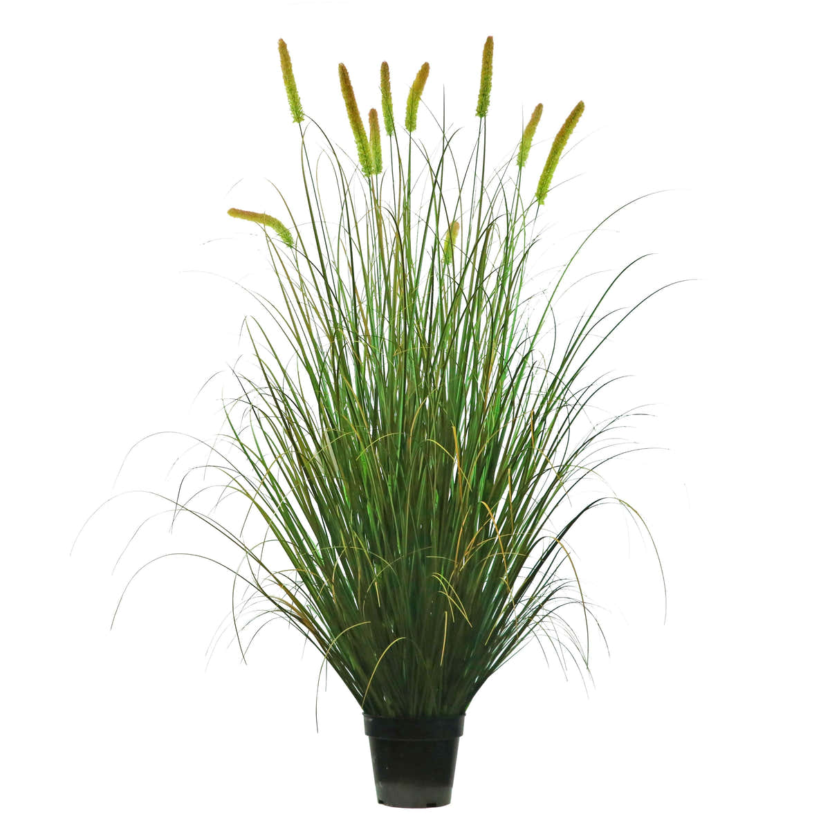 $1000+ Purchase Gift | Artificial 10-Head Long Cat Tail with Curved Onion Grass Bonsai 67"H