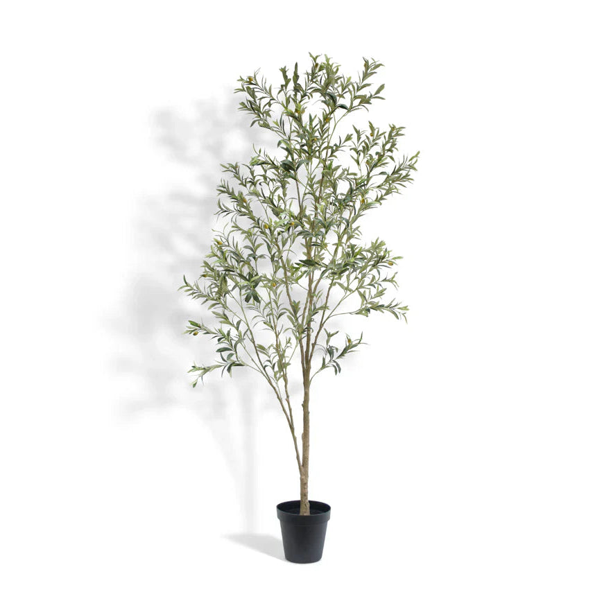 Artificial Wispy Olive Tree