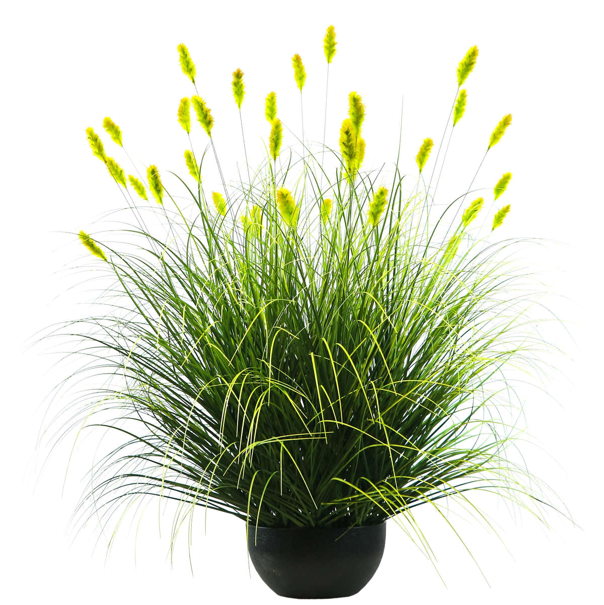 $1000+ Purchase Gift | Artificial 36-Head Caterpillar with Curved-Straight Onion Grass Bonsai 43"H