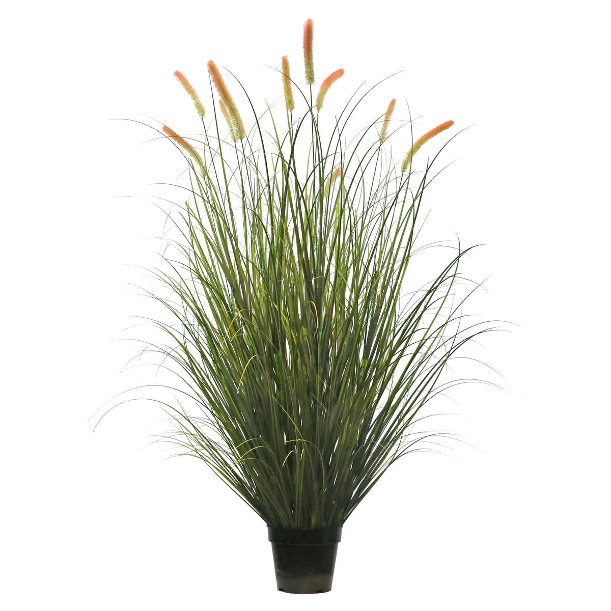$1000+ Purchase Gift | Artificial 10-Head Long Cat Tail with Curved Onion Grass Bonsai 67"H