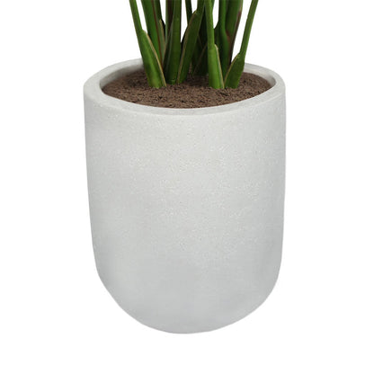 Bird of Paradise Tree in Modern Gray Planter
