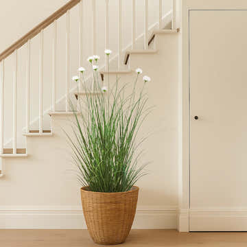 $1000+ Purchase Gift | Artificial 9-Head Cosmos with Curved Onion Grass Bonsai 43"H