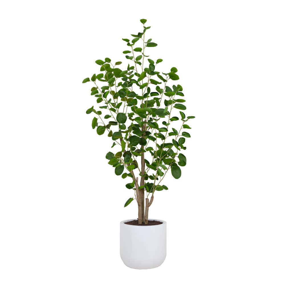 Faux Potted Eucalyptus Tree