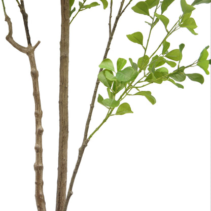 Artificial Heart Ficus Tree