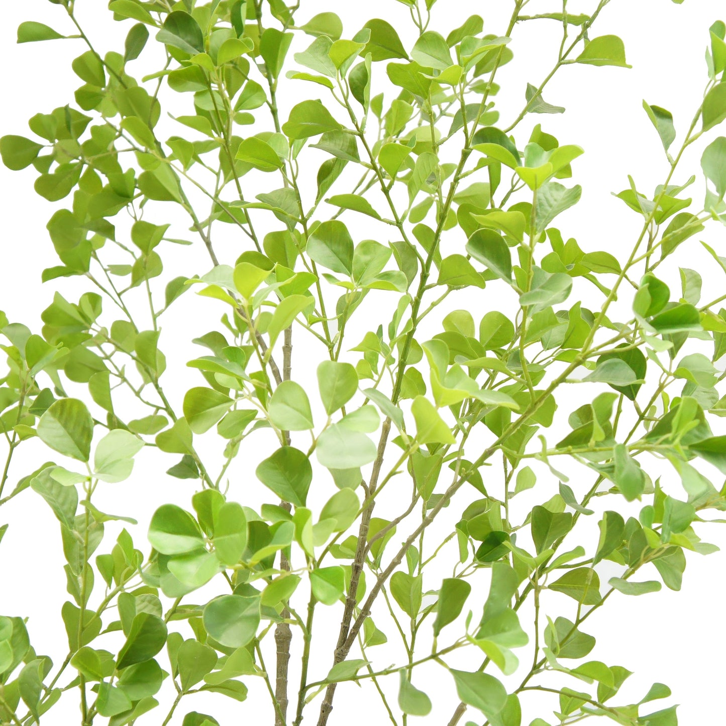 Artificial Heart Ficus Tree