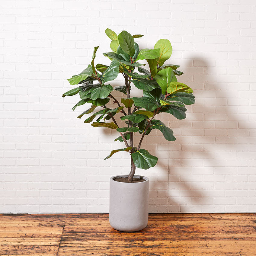 Artificial Fiddle Leaf Fig Tree with Artisan Planter