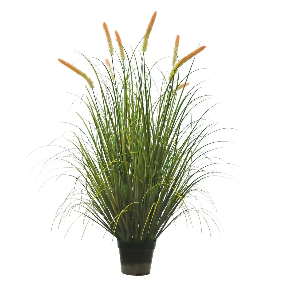 $1000+ Purchase Gift | Artificial 8-Head Long Cat Tail with Curved Onion Grass Bonsai 55"H