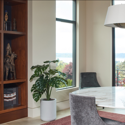 4' Monstera Plant in Modern Gray Planter