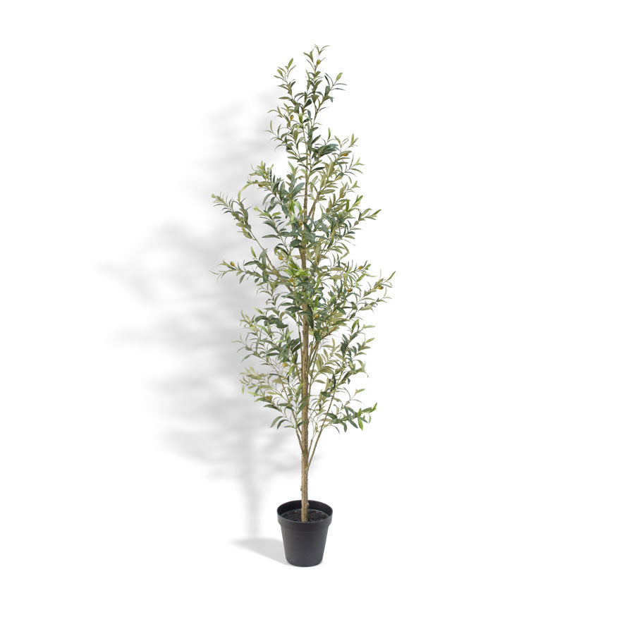 Artificial Slim Olive Tree