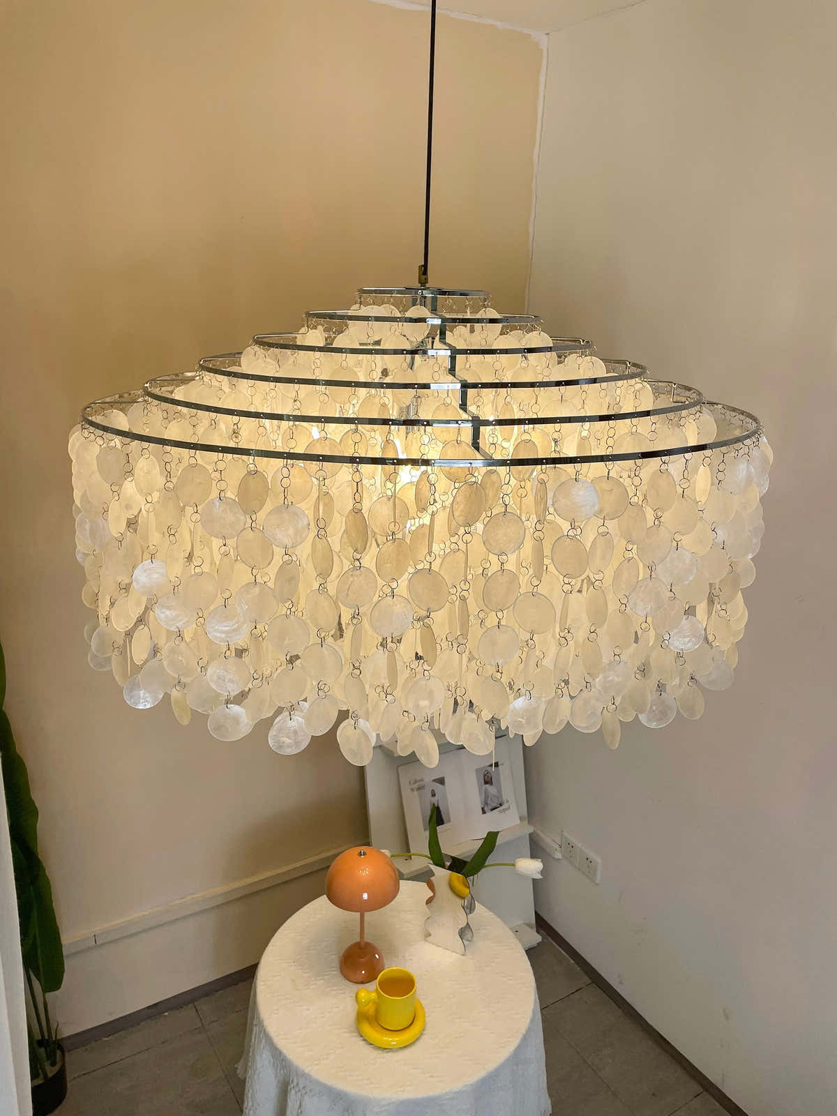 Shell Pendant Light