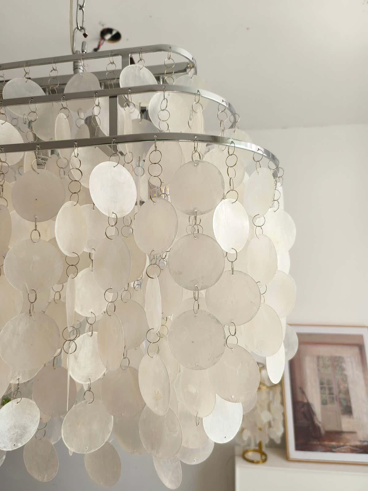 Shell Pendant Light