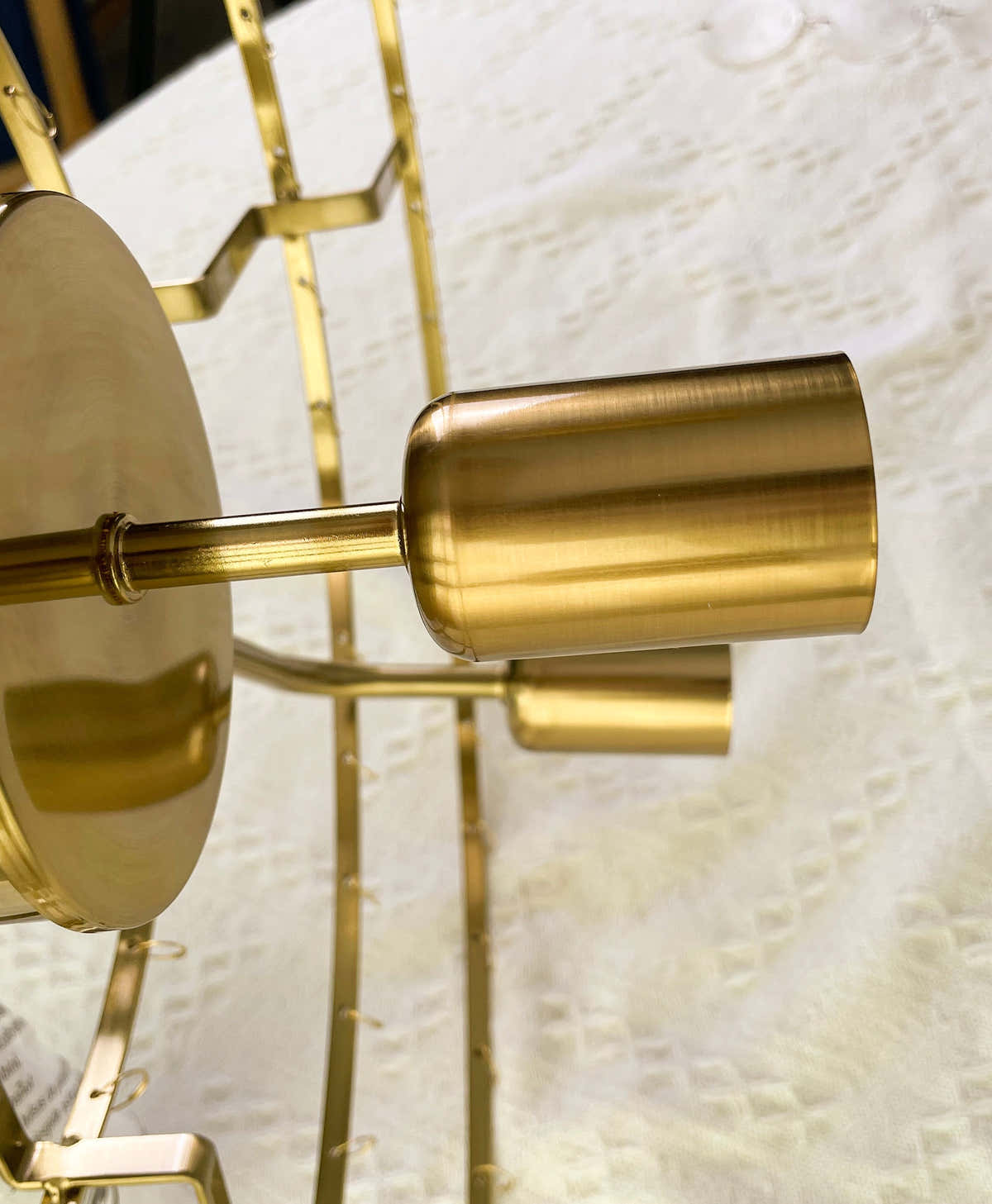 Shell Pendant Light