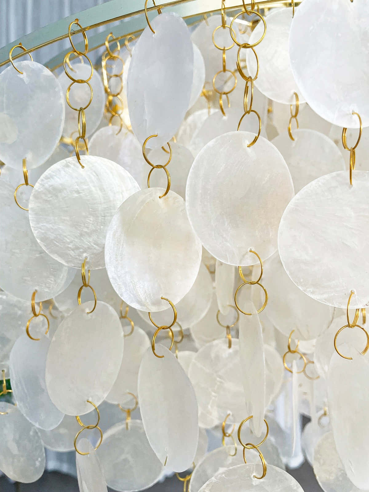 Shell Pendant Light