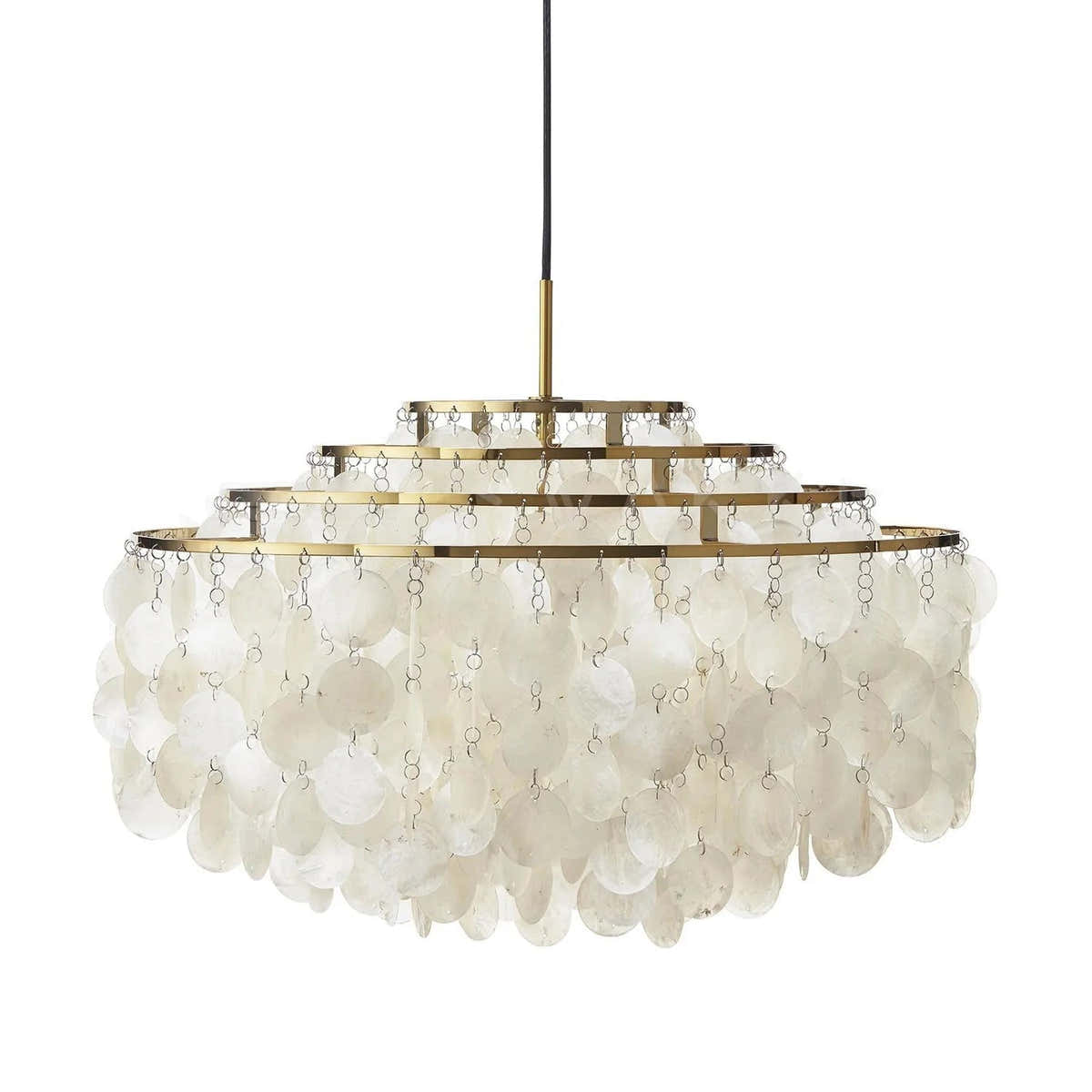 Shell Pendant Light