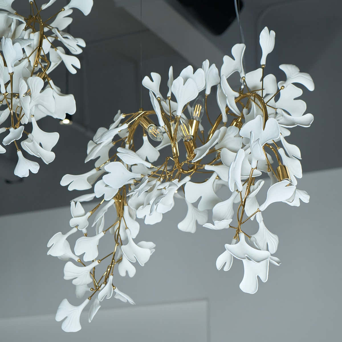 Gingko Chandelier C