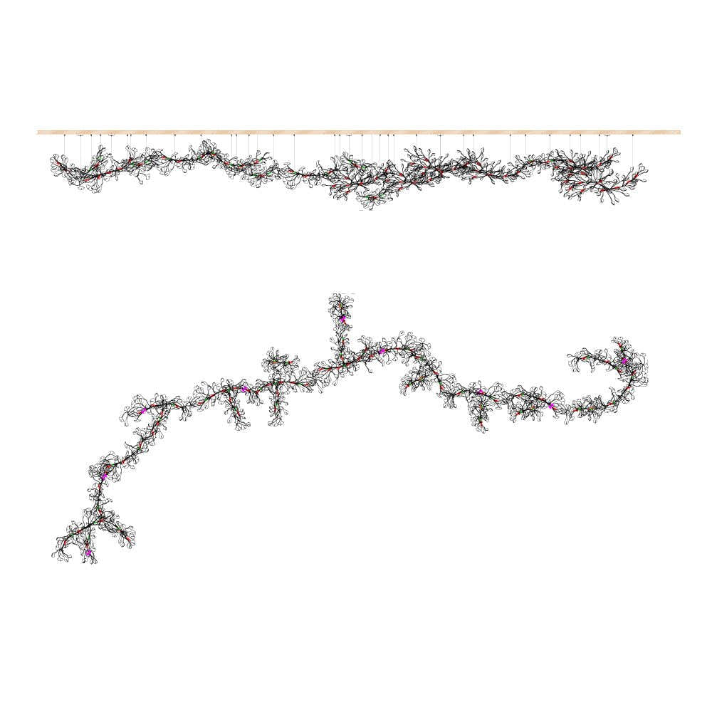 Gingko Chandelier E
