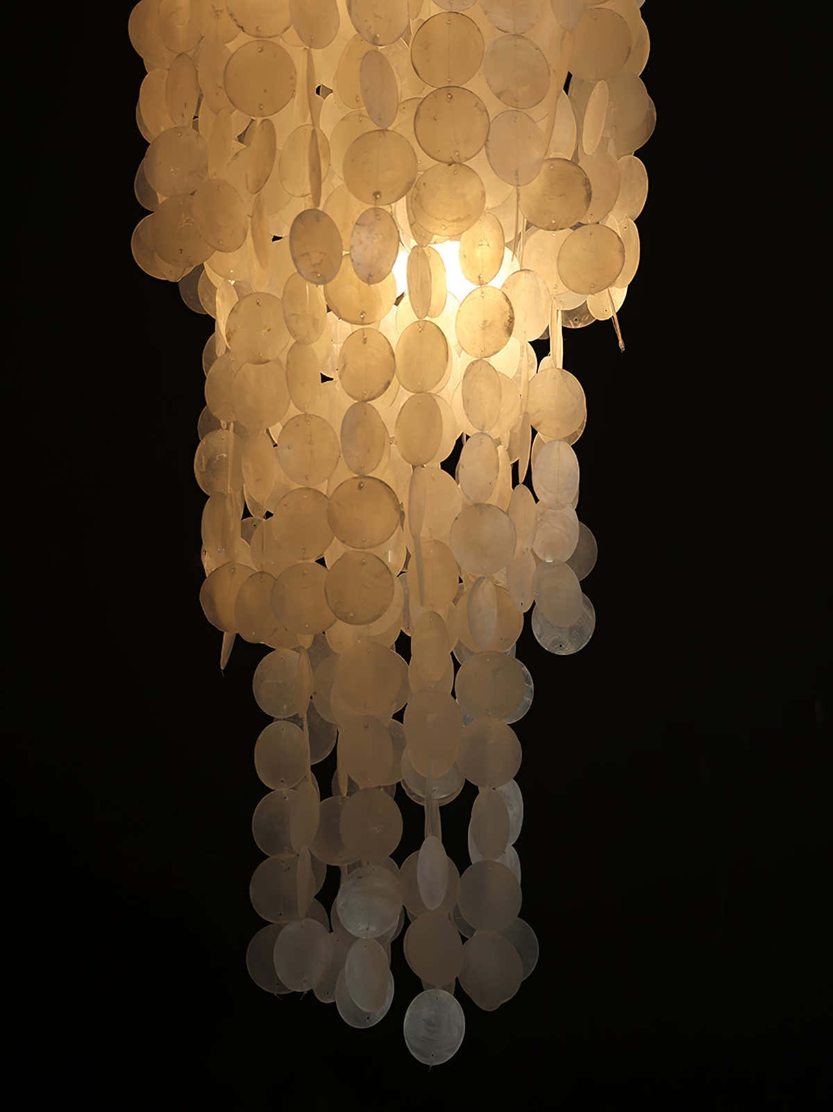 Nerida Shell Chandelier