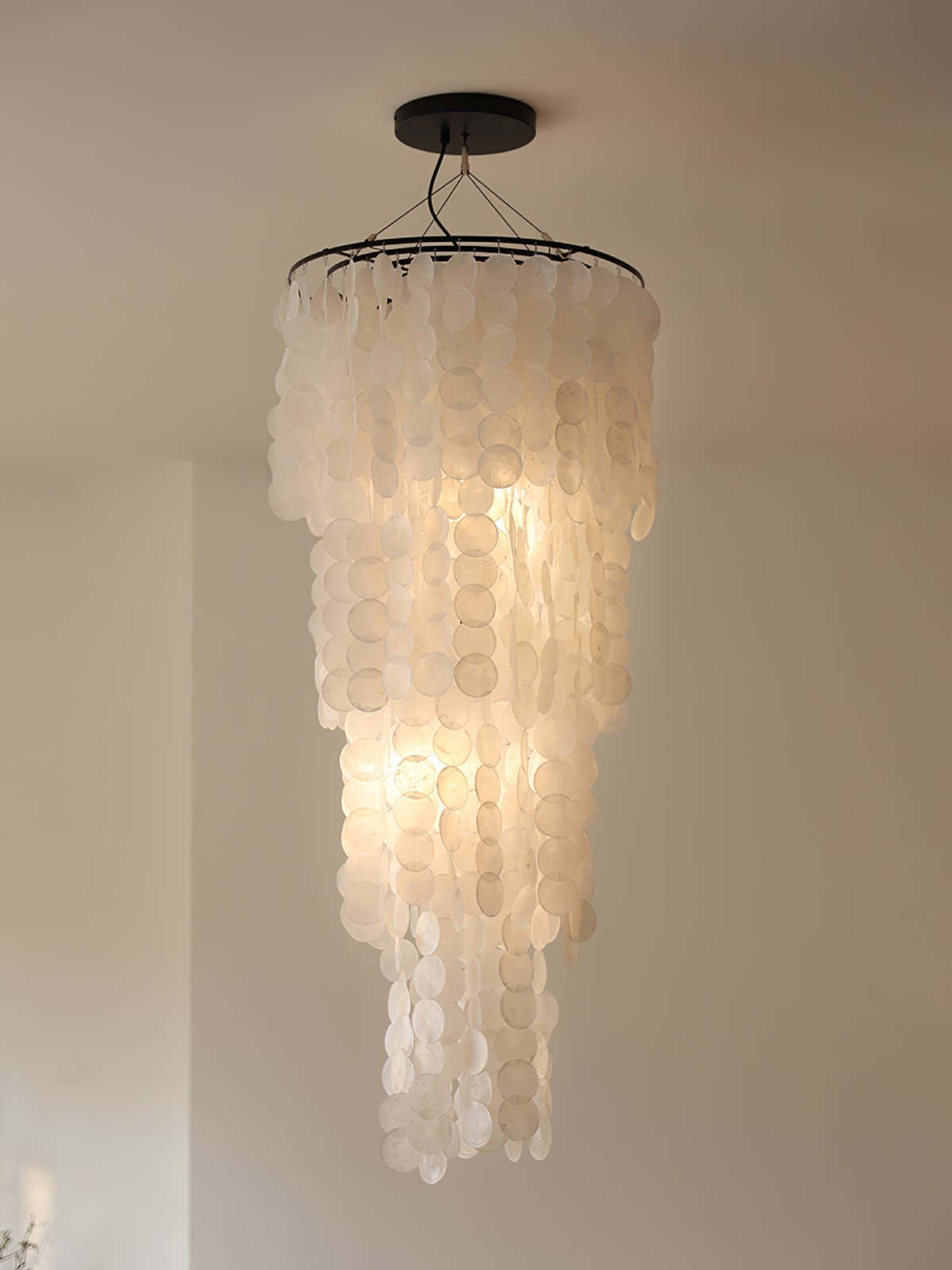 Nerida Shell Chandelier