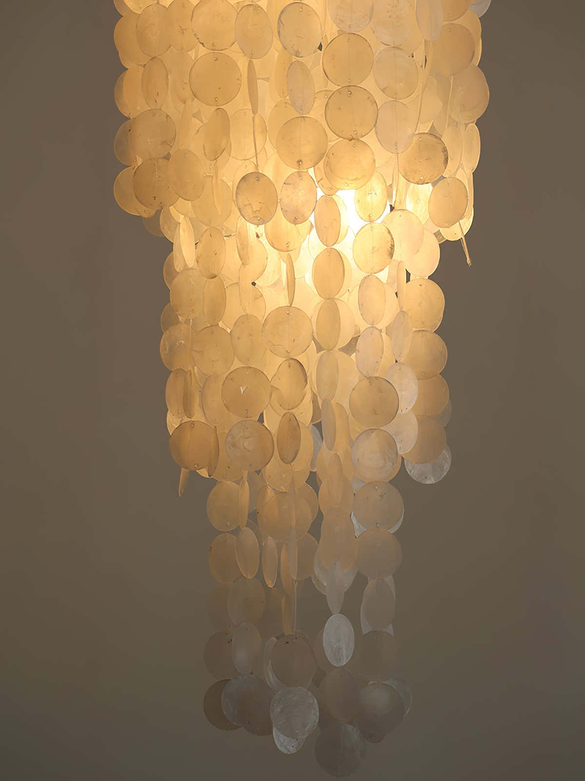 Nerida Shell Chandelier
