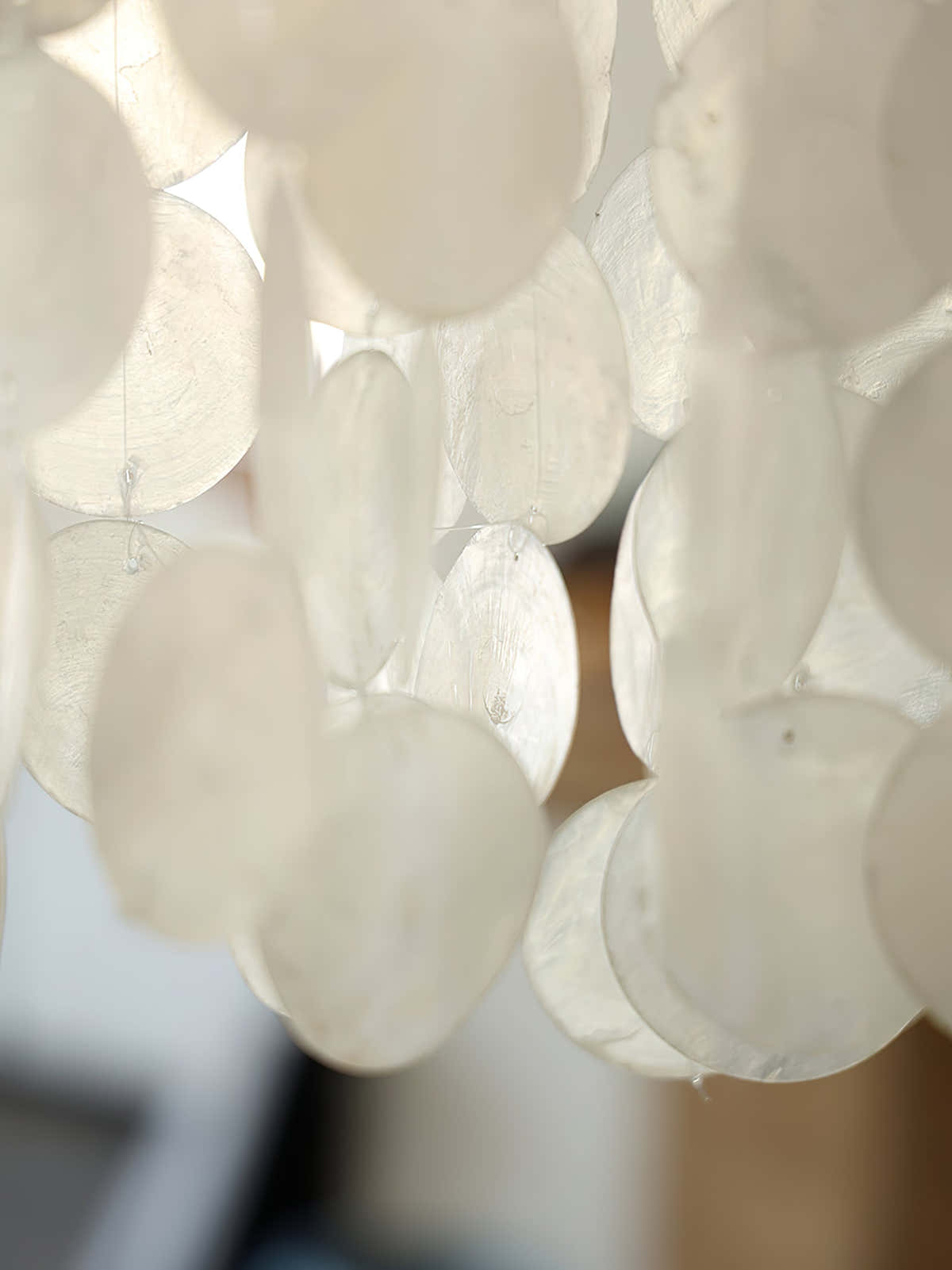 Nerida Shell Chandelier