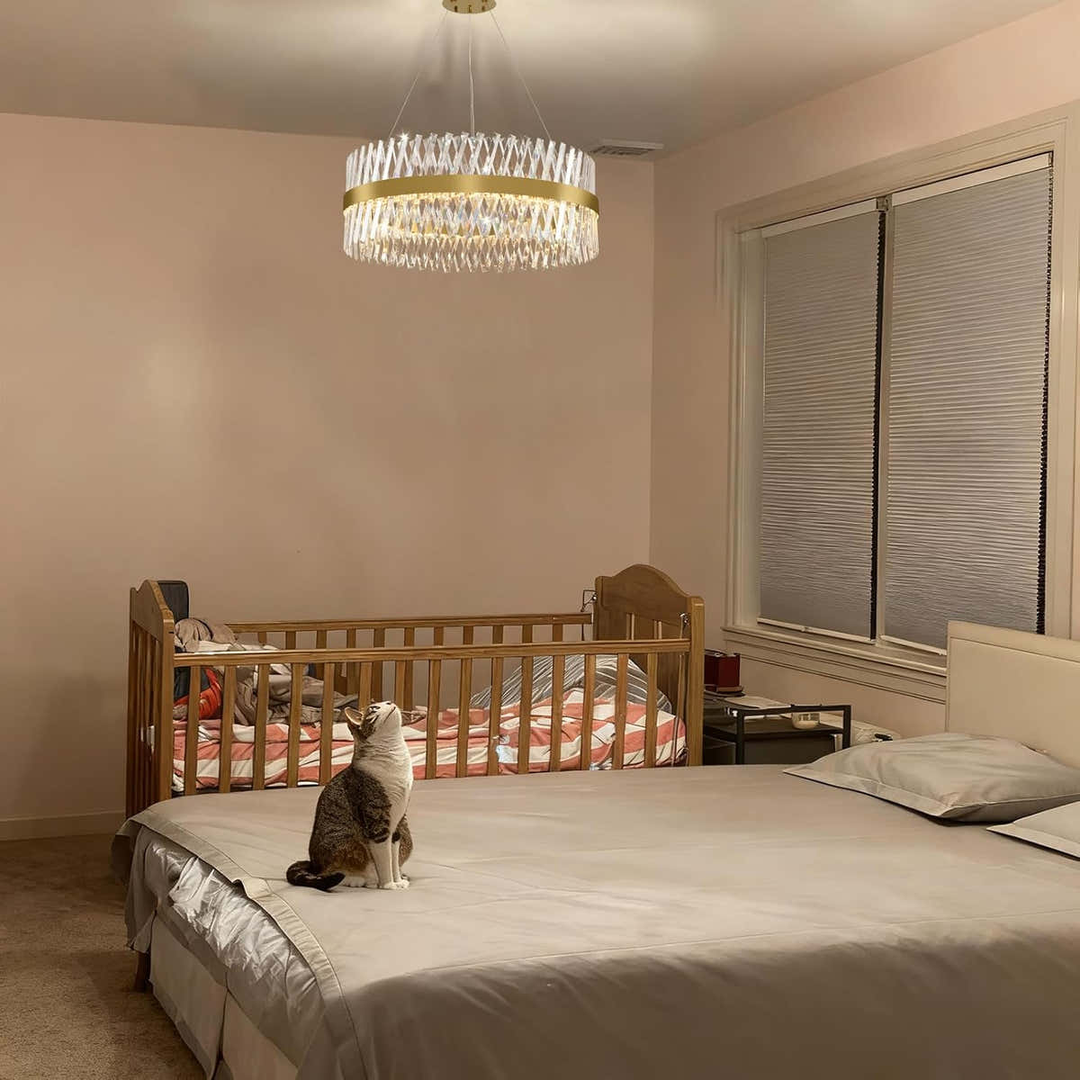MDEGLYO Modern Crystal Chandelier